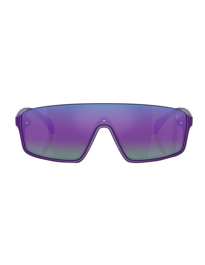 PH4211U Sunglasses in Violet