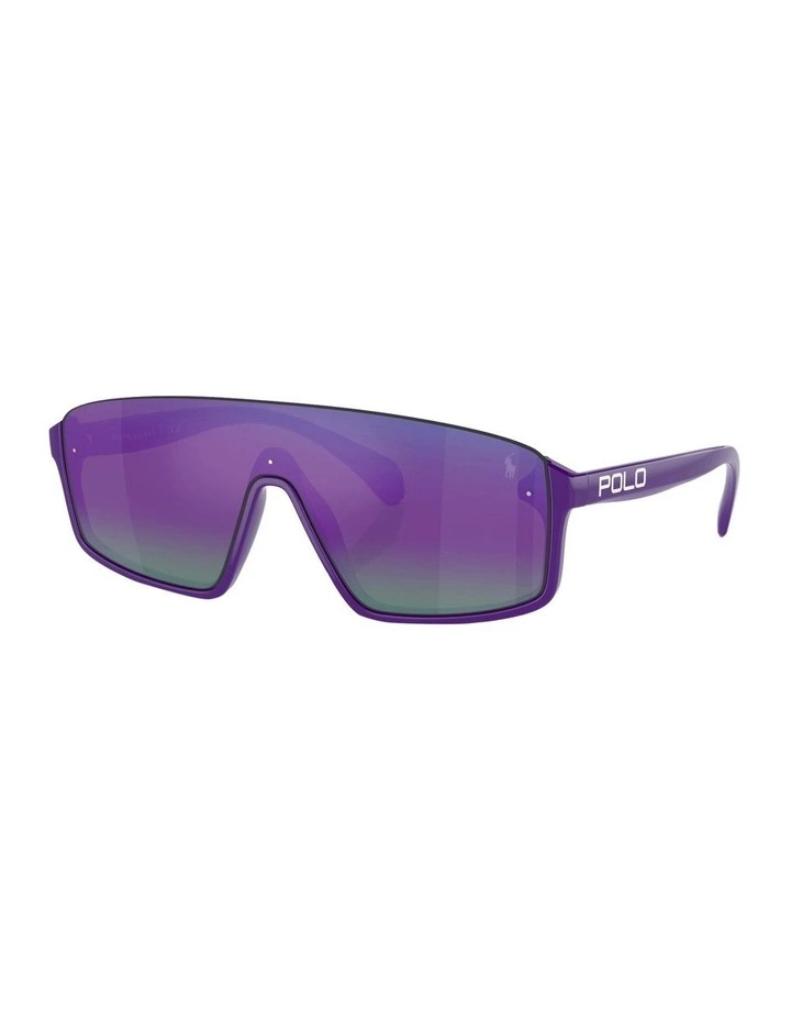 PH4211U Sunglasses in Violet