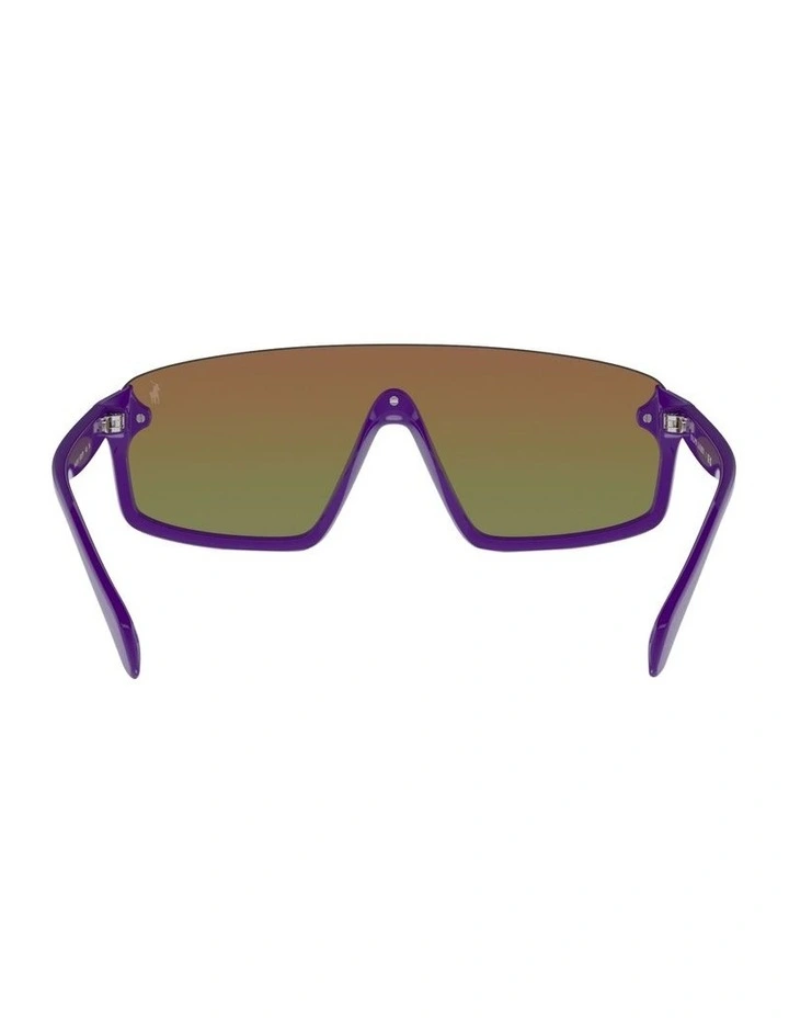 PH4211U Sunglasses in Violet